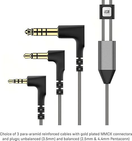 Sennheiser IE900 Hi-Res Audiophile In-Ear Monitors