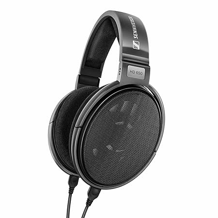 Sennheiser HD 650 Wired Open back Headphone