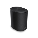Bose Lifestyle Ultra Speaker