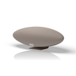 Bowers & Wilkins Zeppelin Pro Edition - Wireless Smart Speaker