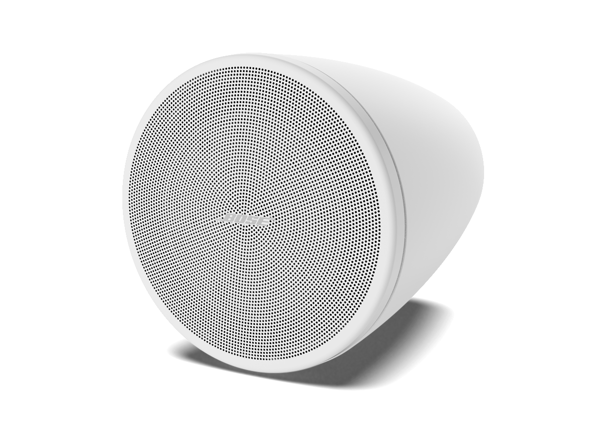 Bose DESIGNMAX DM5P PAIR WHITE