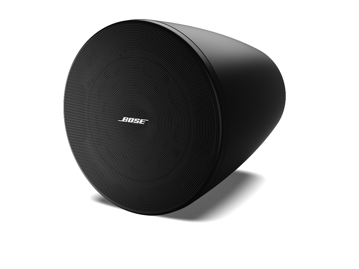 Bose DesignMax DM10P-SUB subwoofer