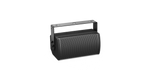 Bose Arena Match AMU105 Speaker