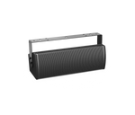 Bose ArenaMatch  AMU206 speaker