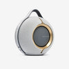 Devialet Mania Smart portable speaker